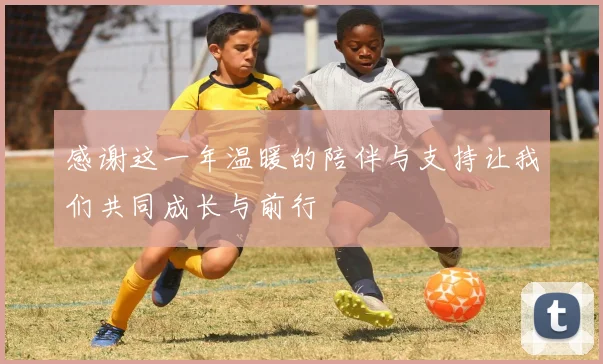 感谢这一年温暖的陪伴与支持让我们共同成长与前行