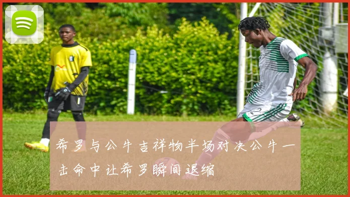 希罗与公牛吉祥物半场对决公牛一击命中让希罗瞬间退缩